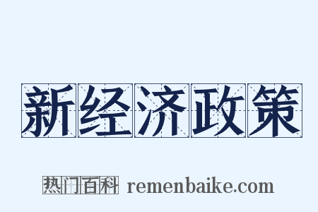 新经济政策是什么意思的图片